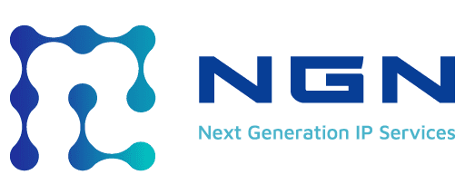 NGN IP Sicurezza informatica